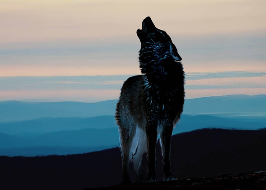 Howl-Wolf--Howl_art